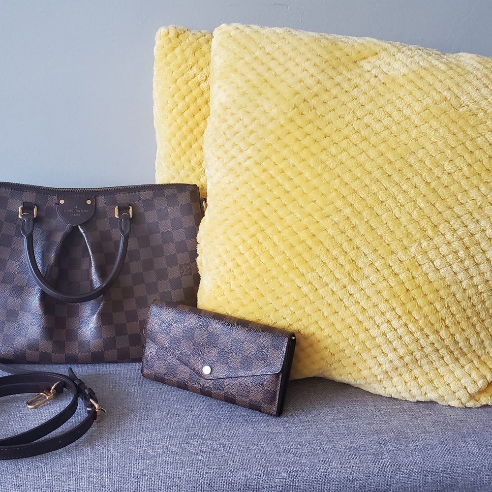 LV bag authentic